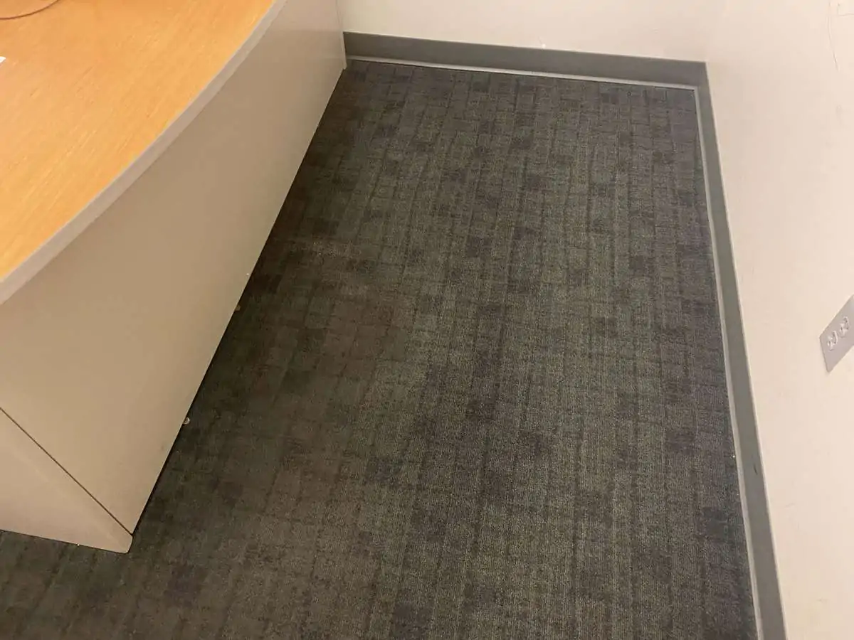 Gallery 08 10 2025 7